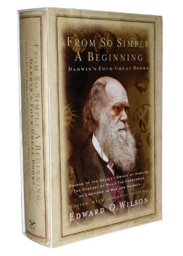 From simple beginning - from, a