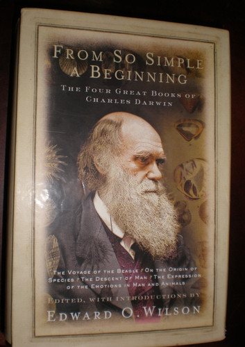 From simple beginning - simple, a