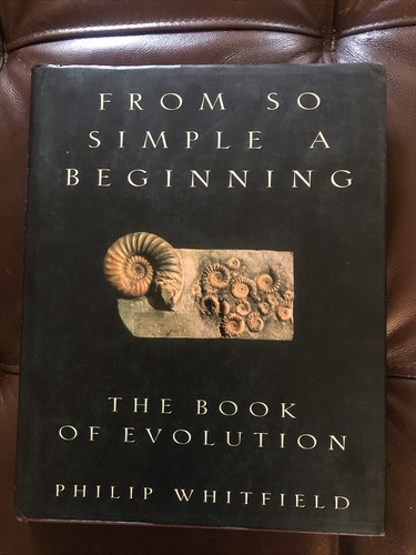 From simple beginning - beginning,