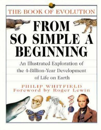From simple beginning - from,